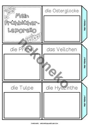 Leporello Frühblüher | differenziert | mehrere Versionen