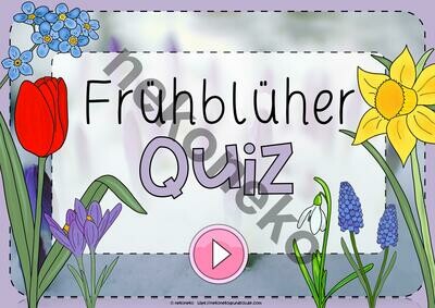 Interaktives Quiz | Frühblüher | ab Klasse 1