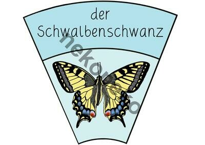Legekreis Schmetterlinge