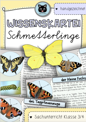 Wissenskartei Schmetterlinge | Heimische Tagfalter