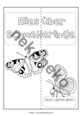 Lapbook Schmetterlinge
