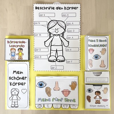 Lapbook | Mein Körper - meine Sinne