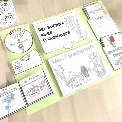 Lapbook | Frühblüher | Sachunterricht ab Klasse 1