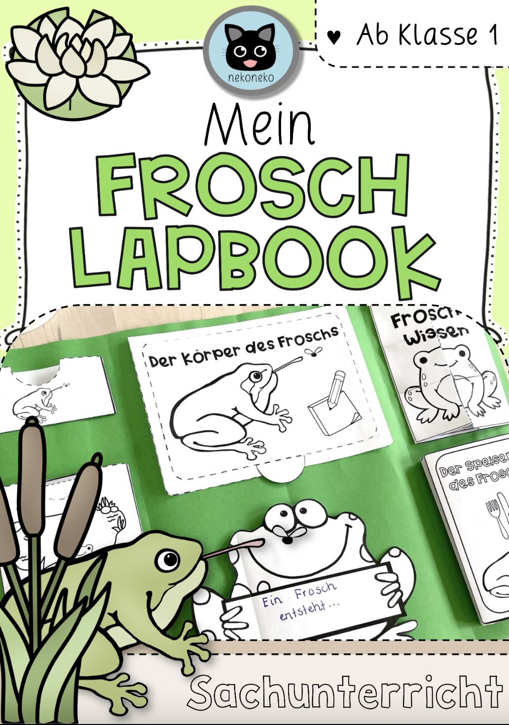 Lapbook | der Frosch | Sachunterricht ab Klasse 1