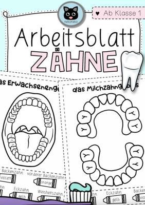 Arbeitsblatt Zähne | Milchgebiss | Erwachsenengebiss