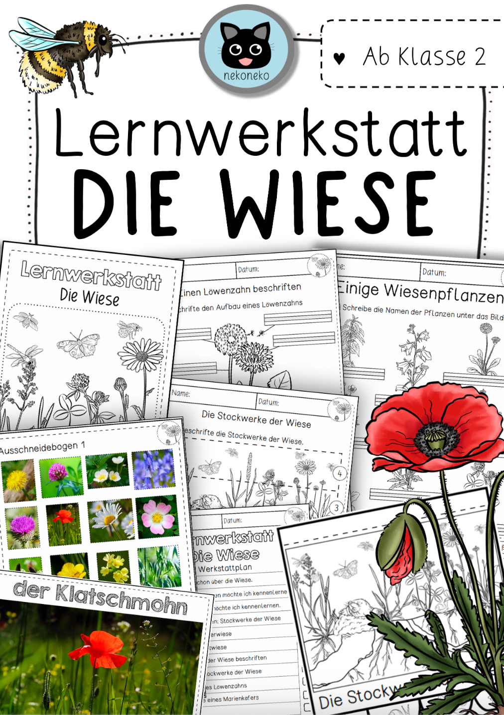 Lernwerkstatt | Die Wiese | Wiesentiere &amp; Wiesenpflanzen