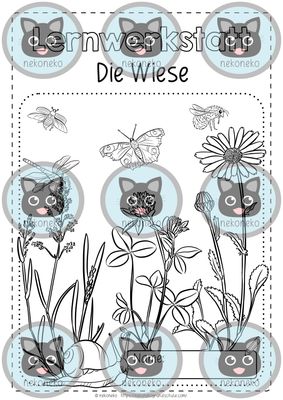 Lernwerkstatt | Die Wiese | Wiesentiere &amp; Wiesenpflanzen