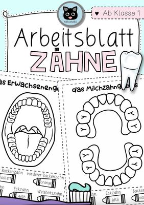 Arbeitsblatt Zähne | Milchgebiss | Erwachsenengebiss