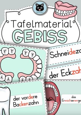 Tafelmaterial | Tafelbilder | Gebiss &amp; Zähne