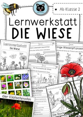 Lernwerkstatt | Die Wiese | Wiesentiere &amp; Wiesenpflanzen