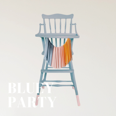 BLUEY PARTY