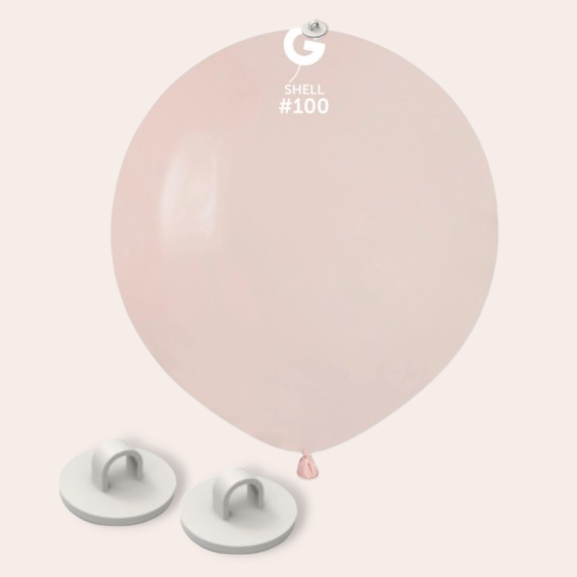 SHELL GEMAR PASTEL 48cm