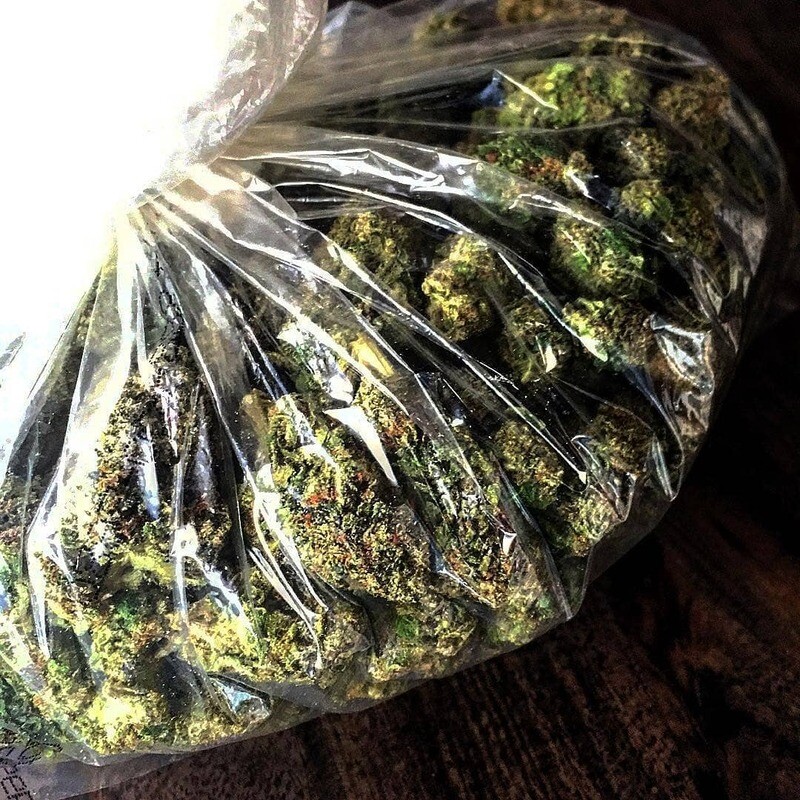 OG kush