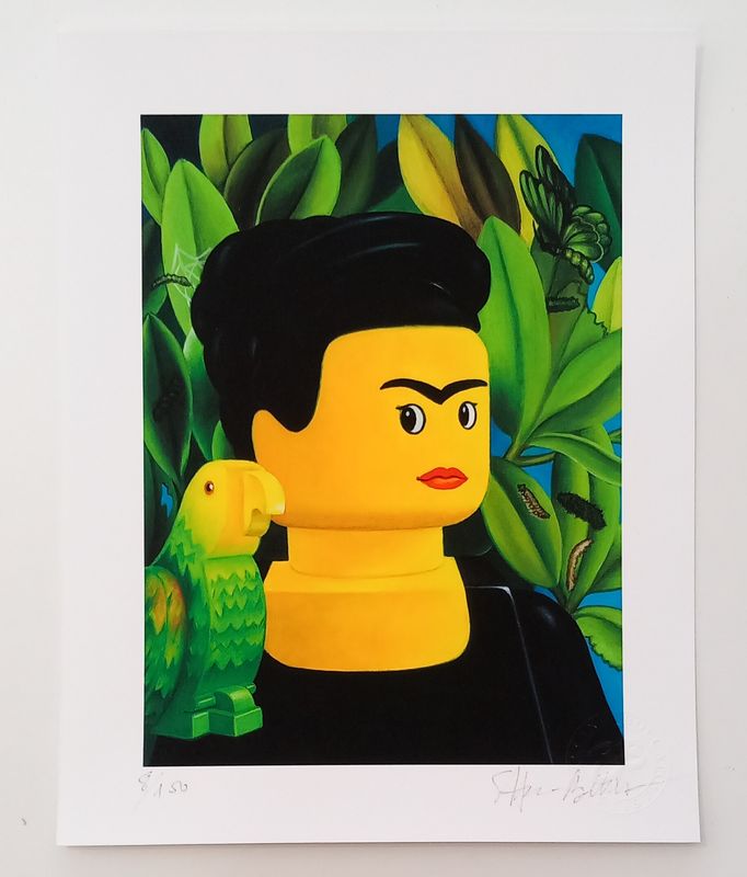BOLCATO - Il pappagallo 24x30