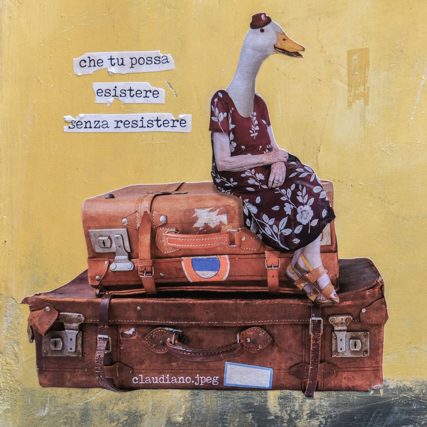 CLAUDIANO - Nonna Papera