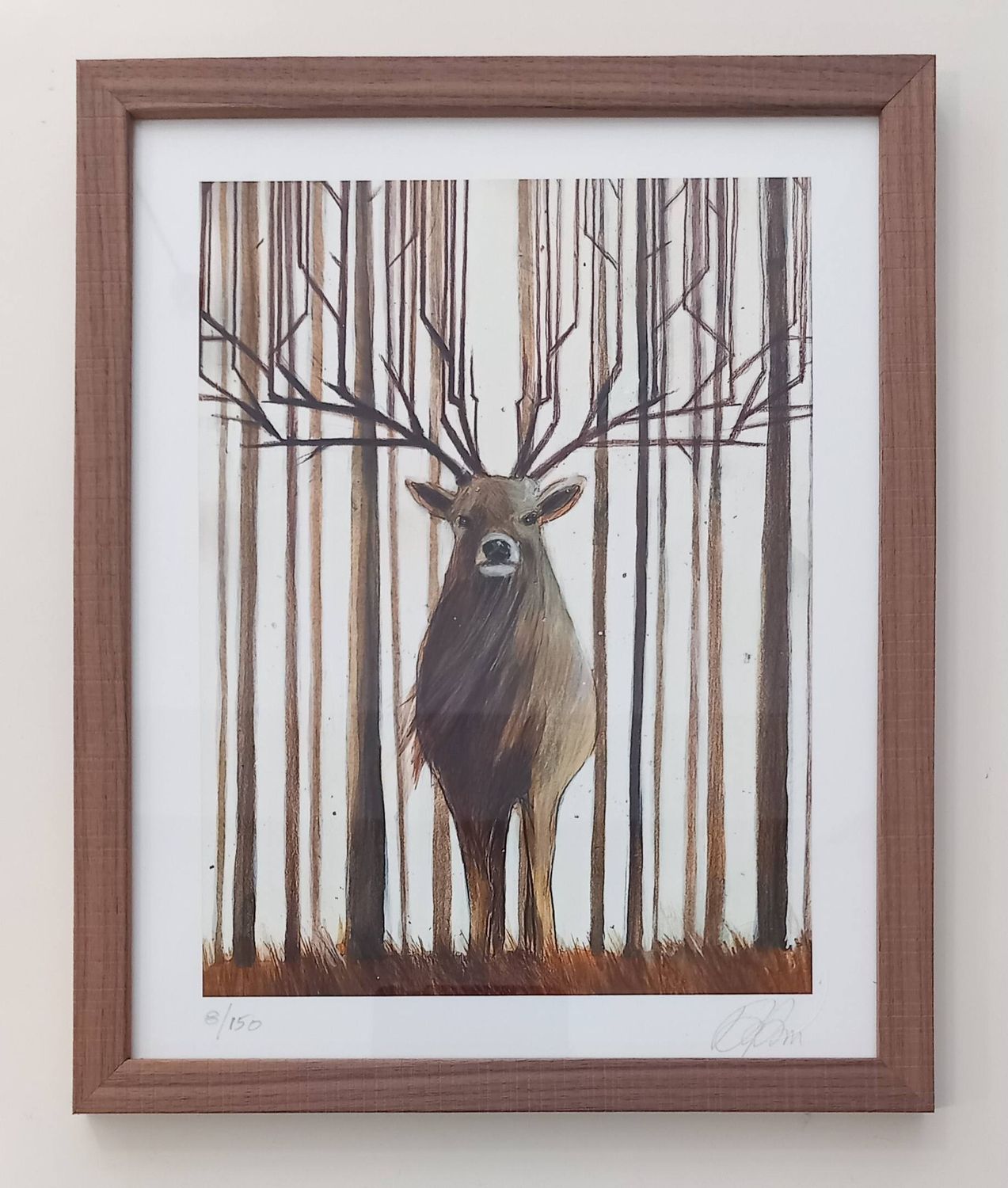 PARESCHI - Quelli in verticale - con cornice