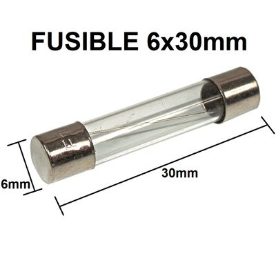 FUSIBLE F2A 6X 30 MM GRANDE