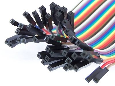 CABLE 40 PIN HEMBRA-MEMBRA