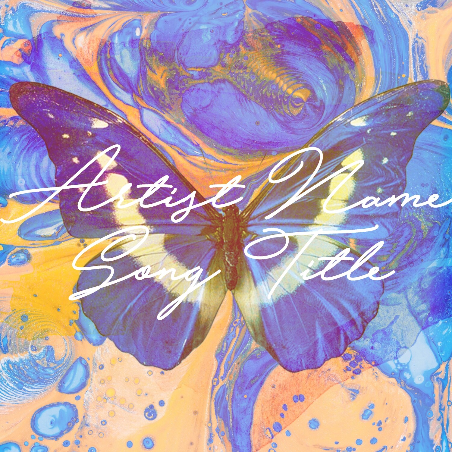 Colorful Butterfly