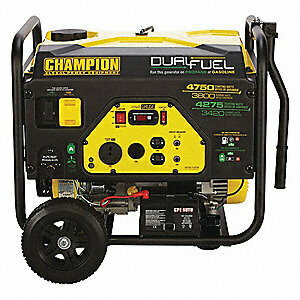 Generator dual -fuel