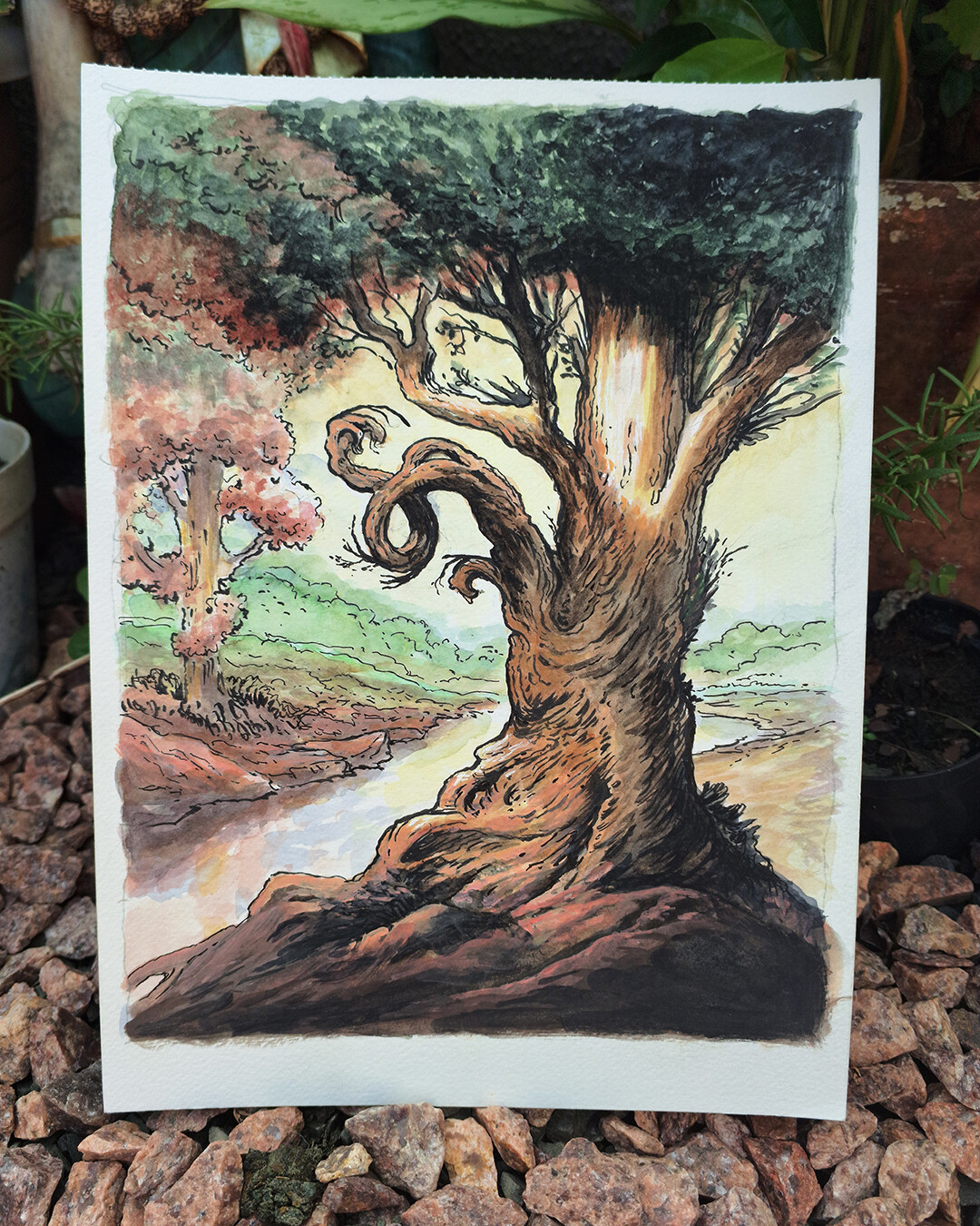 Sunset Tree - Original Painting