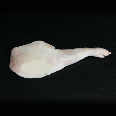 FRESH IBERICO SUCKLING PORK - SHOULDER (€/Kg.)