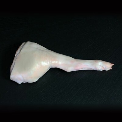 IBERICO SUCKLING PORK - LEG (€/Kgr.)