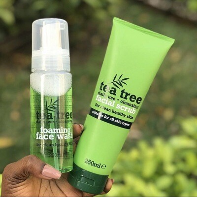 Tea Tree Face Mask And Foam Wash