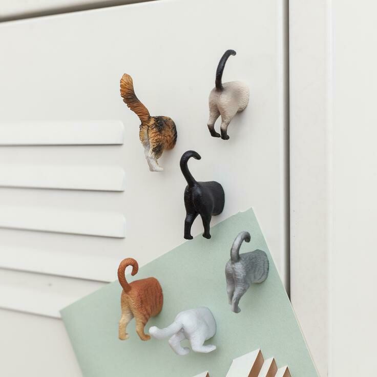Kikkerland Cat Butt Magnets 