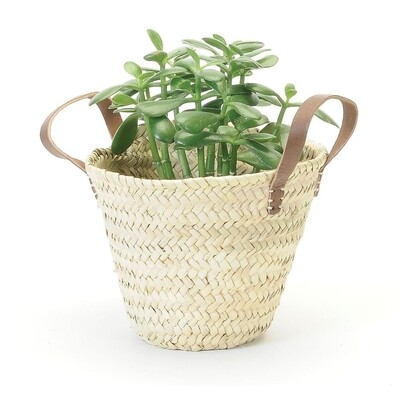 Straw Planter With Leather Handle