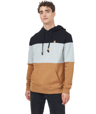 Ten Tree M TreeFleece Blocked Reynard Hoodie
