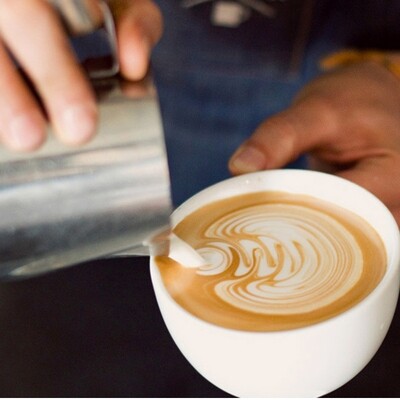 Cafe Culture Milk Pitcher Staineless Steel 24oz