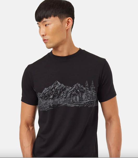 Ten Tree M Mountain Scenic T-Shirt Meteorite