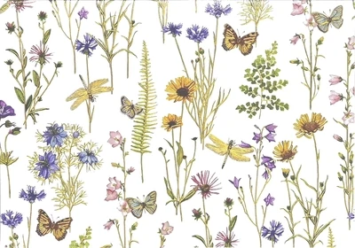 Peter Pauper Note Card Wildflower Garden