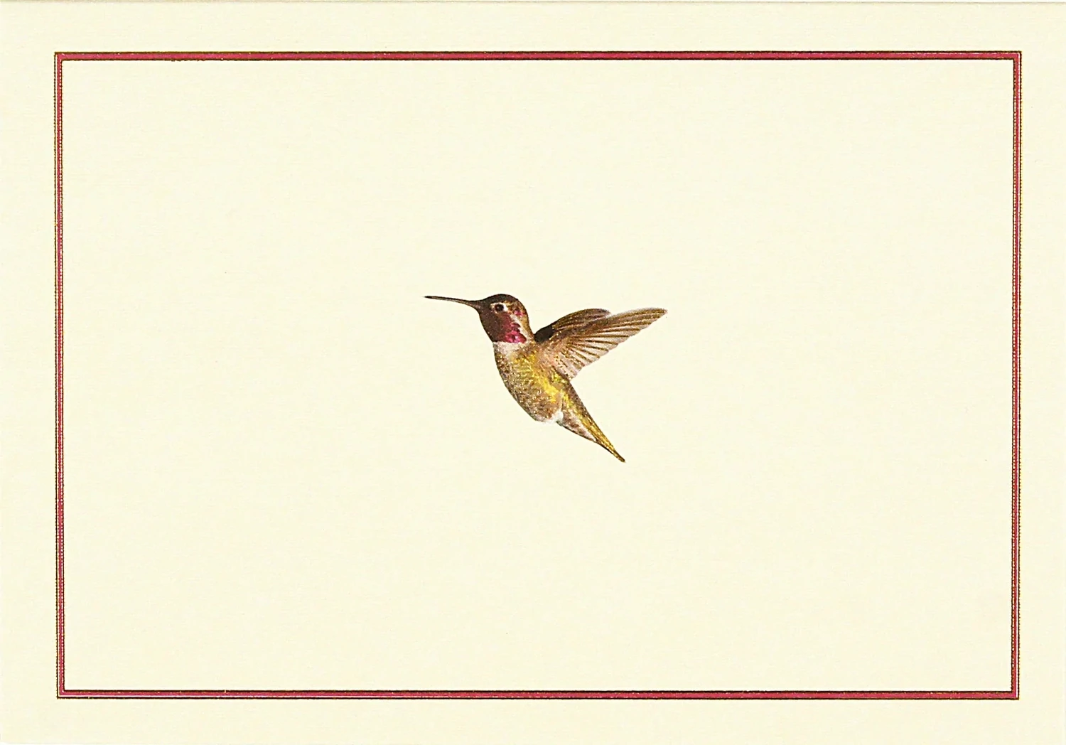 Peter Pauper Note Cards Hummingbird Flight