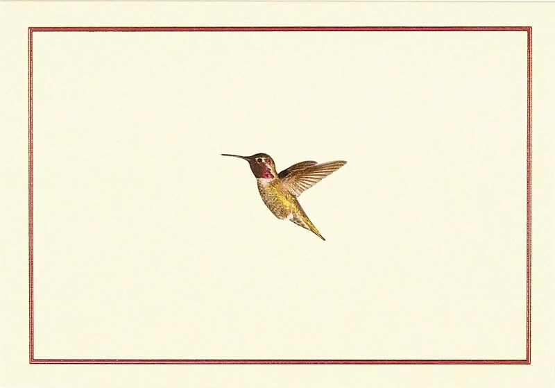 Peter Pauper Note Cards Hummingbird Flight