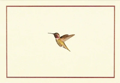 Peter Pauper Note Cards Hummingbird Flight