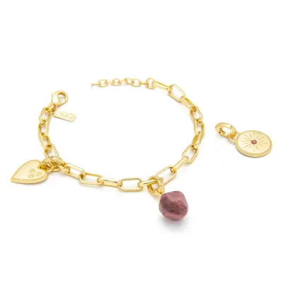 Scout Interchangeable Charm Bracelet Tourmaline Gold