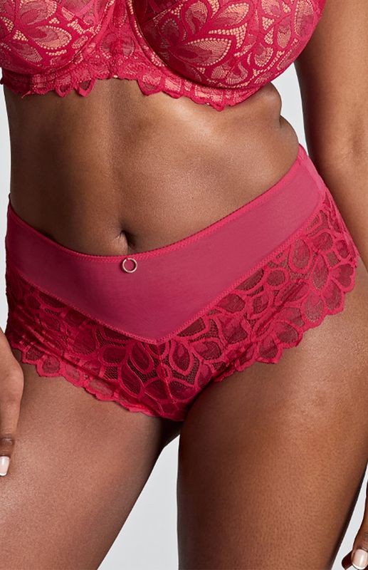 Panache Allure Deep Brief Raspberry