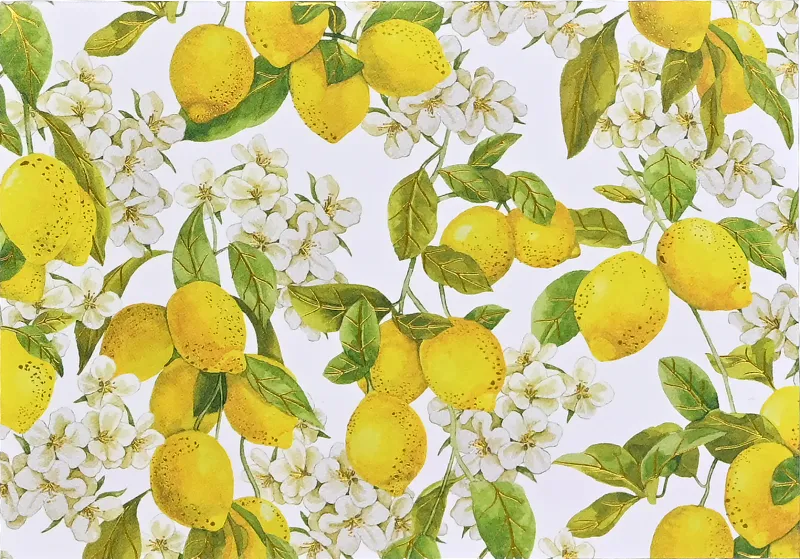 Peter Pauper Note Card Amalfi Lemons