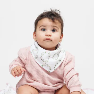 Lulujo 2Pack Bandana Bibs Bows &amp; Rose Trellis