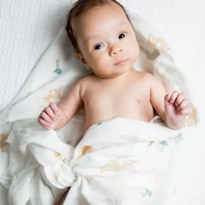 Lulujo Classic Muslin Swaddle Blanket Little Fawn