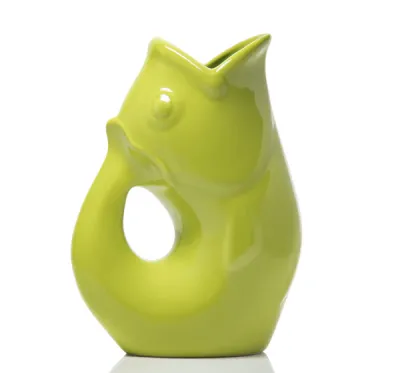 Gurglepot Kiwi