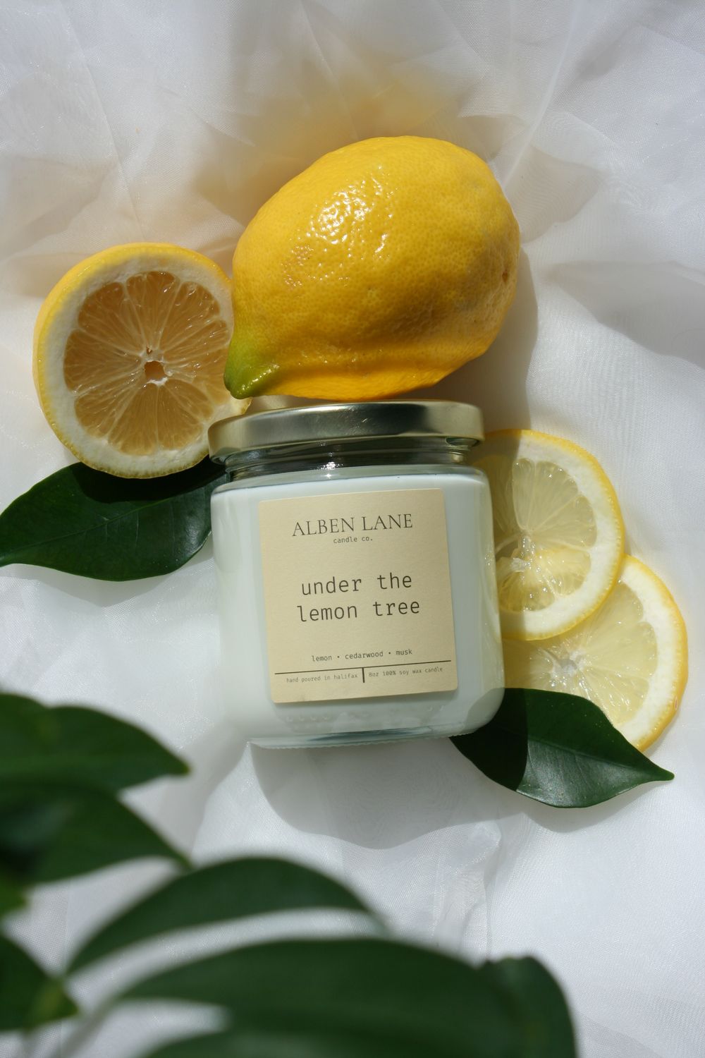 Alben Lane Under the Lemon Tree Candle 8oz