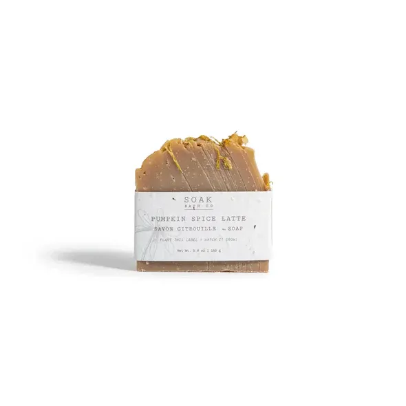 Soak Bath Co Pumpkin Spice Soap Bar
