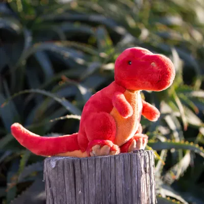Bukowski Rexy