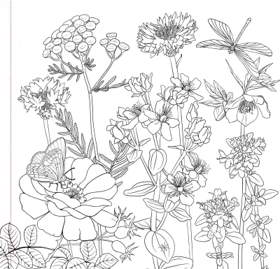 Peter Pauper Coloring Book Wildflowers