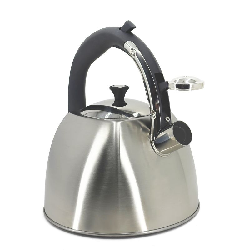 Ch'a Tea Stove Top Kettle