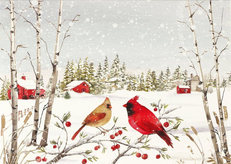 Peter Pauper Deluxe Holiday Cards Cardinals in Winter Peter Pauper Deluxe Holiday Cards Cardinals in Winter