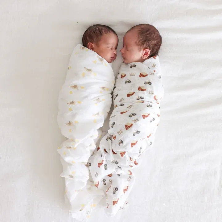 Lulujo 2Pack Cotton Muslin Swaddle Barnyard/Hen & Chicks
